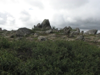 Rocky granite tors